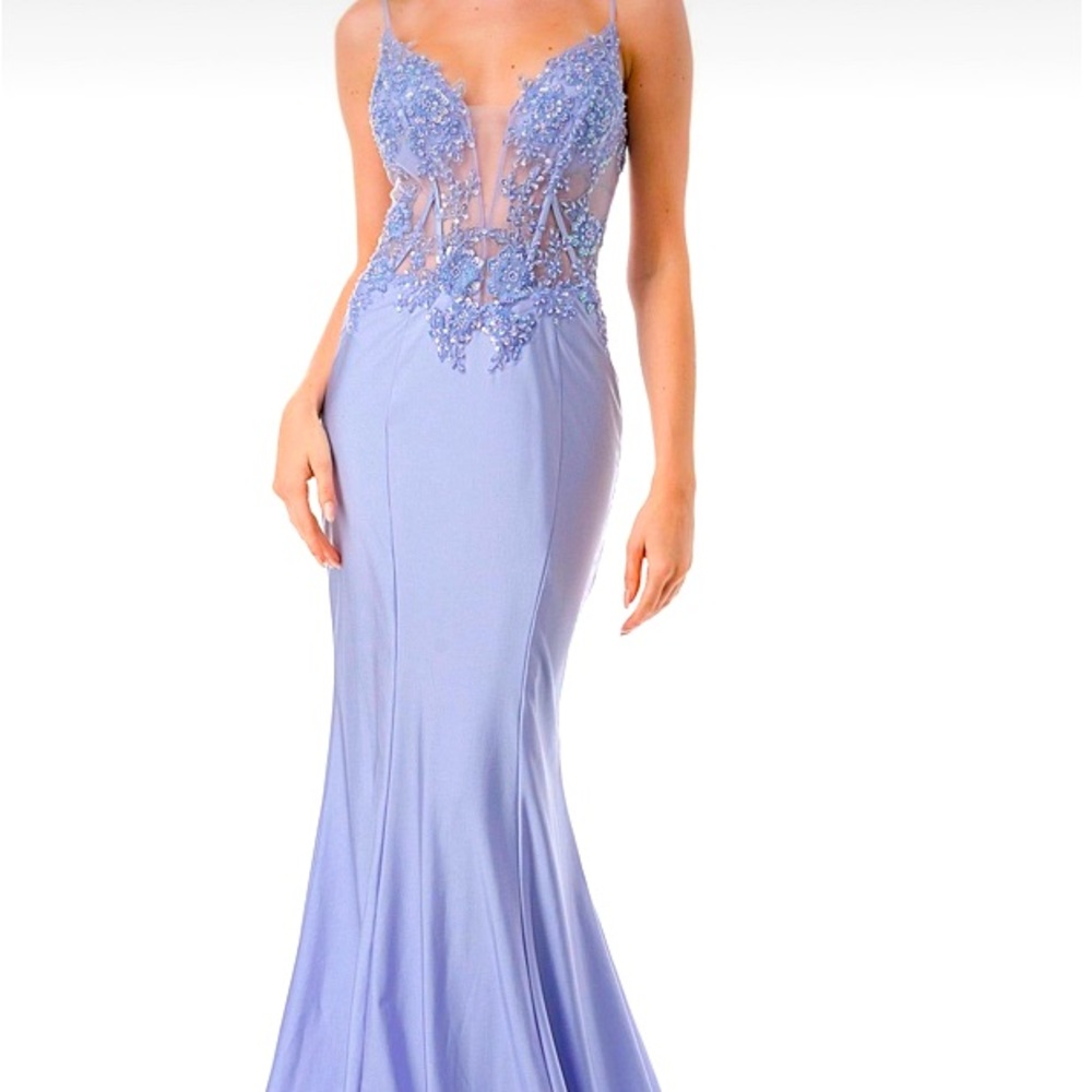 • David and Johnny Appliqué Sheer Corset Bodice Mermaid dress